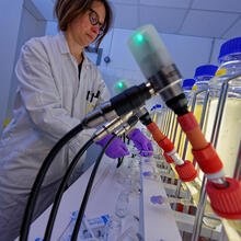 Les chercheurs de l'Ifremer cultivent les microalgues sur un banc de phénotypage. Ce dispositif de physiologie expérimentale est développé par le laboratoire de physiologie et biotechnologie des algues, basé sur le centre Ifremer Atlantique à Nantes.