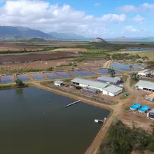 Vue aérienne de la station aquacole composée d'un grand bassin et de plusieurs bassins plus petits ainsi que des bâtiments