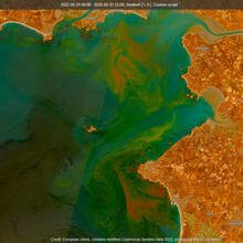 Ces eaux colorées rouge-marron sont dues à une efflorescence de la microalgue Lingulodinium polyedra sur le littoral du Morbihan jusqu’au large de Noirmoutier