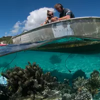 Relevé des signatures sonores d’un récif corallien, lagon de Moorea.