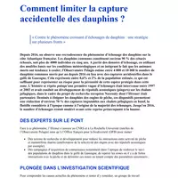 Comment limiter la capture accidentelle des dauphins ?