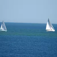 En bord de route sur la côte du Pouliguen, en Loire-Atlantique, on aperçoit un bloom planctonique non toxique de couleur verte fluorescente qui s'étale le long de la côte sur plus d'un kilomètre. Cette espèce phytoplanctonique est le Lepidodinium Chlorophorum.