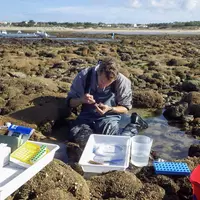 Dossier de presse surveiller le littoral