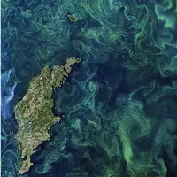 Prise de vue aérienne dans le cadre du projet STUOD (Stochastic Transport in Upper Ocean Dynamics)