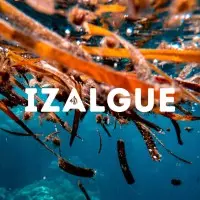 Izalgue (Trophée Blue Box 2024)