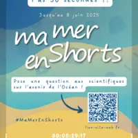 Ma Mer en shorts - Règlement