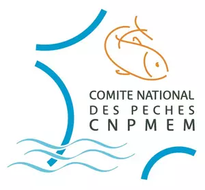 Logo CNPMEM