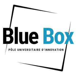 Logo PUI Blue Box