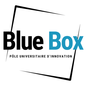 Logo PUI Blue Box