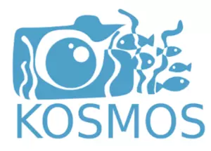 Logo KOSMOS