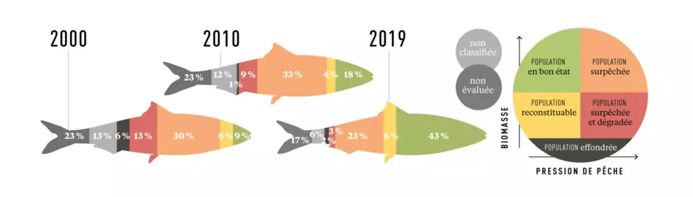 État écologique des populations exploitées en France métropolitaine entre 2000 et 2019. Part dans les débarquements français métropolitains des différentes catégories (en volume)