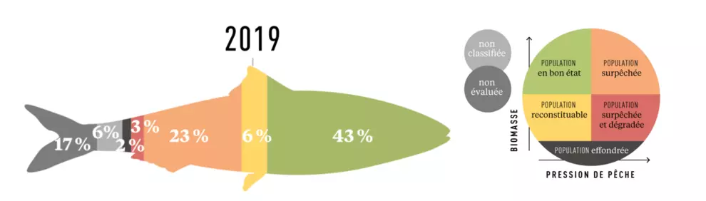 État écologique des populations exploitées en France métropolitaine en 2019. Part dans les débarquements français métropolitains des différentes catégories (en volume)