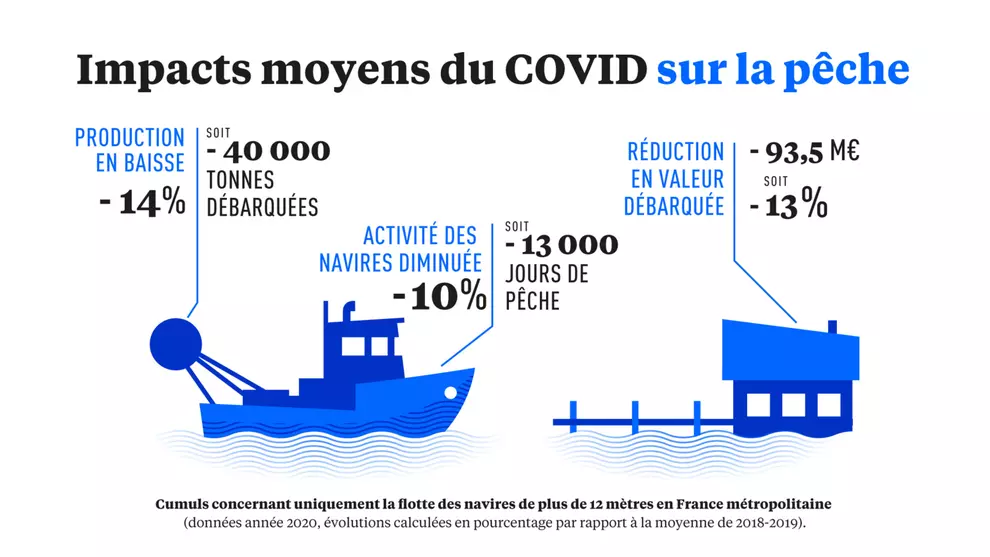 La pêche dans les filets du Covid-19 : moyennes sur l'année concernant uniquement les navires de plus de 12 mètres