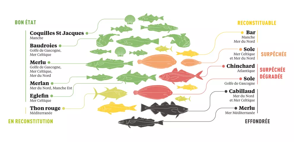 Quelques exemples de populations de poissons pêchés en France, classées selon leur état en 2021