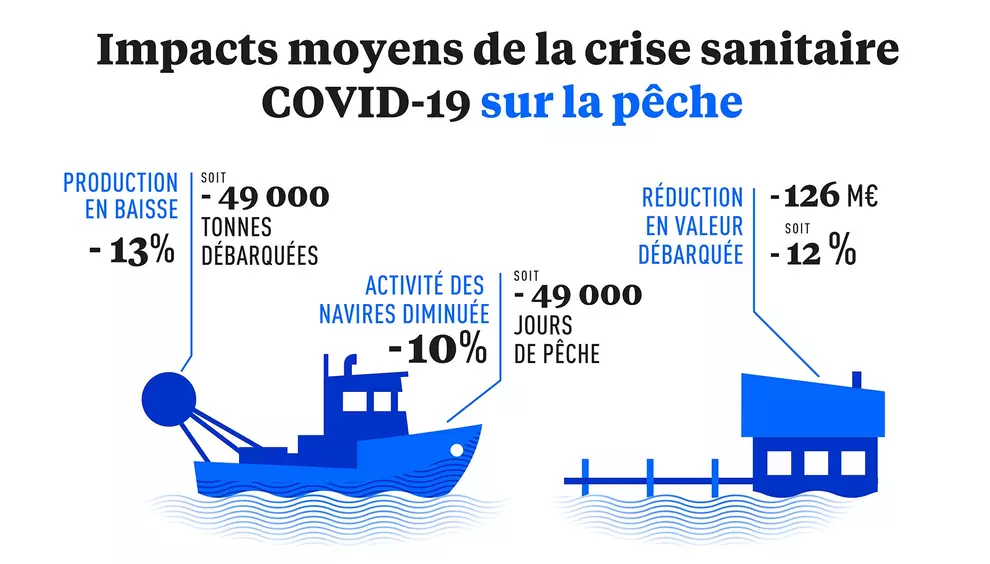 Impacts moyens de la crise sanitaire COVID-19 sur la pêche