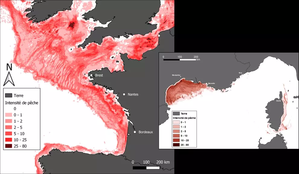 Cartes de distribution et d’intensité de la pression de pêche de fond sur la façade atlantique par les navires de pêche européens et sur la façade méditerranéenne française par les navires français