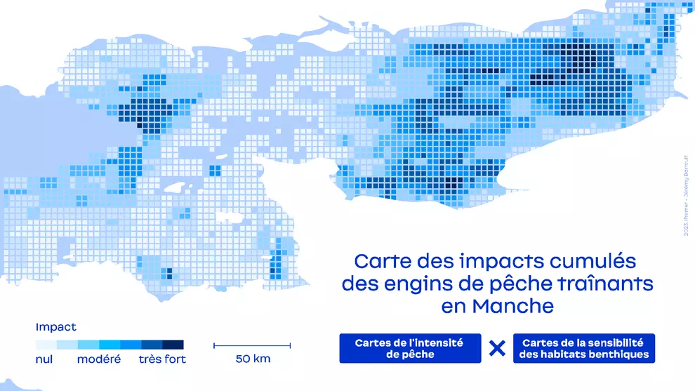 Carte des impacts cumulés des engins de pêche traînants en Manche