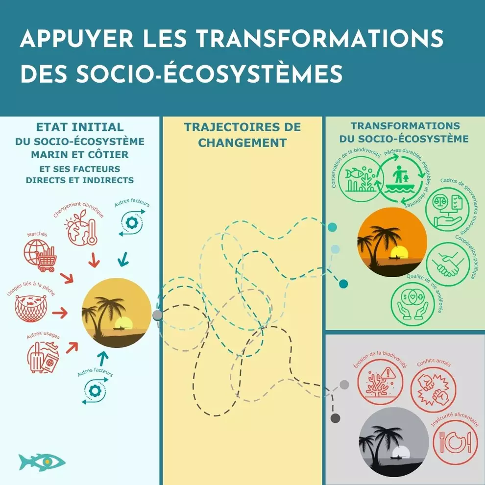 Appuyer les transformations des socio-écosystèmes 